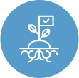 Grassroots Projects